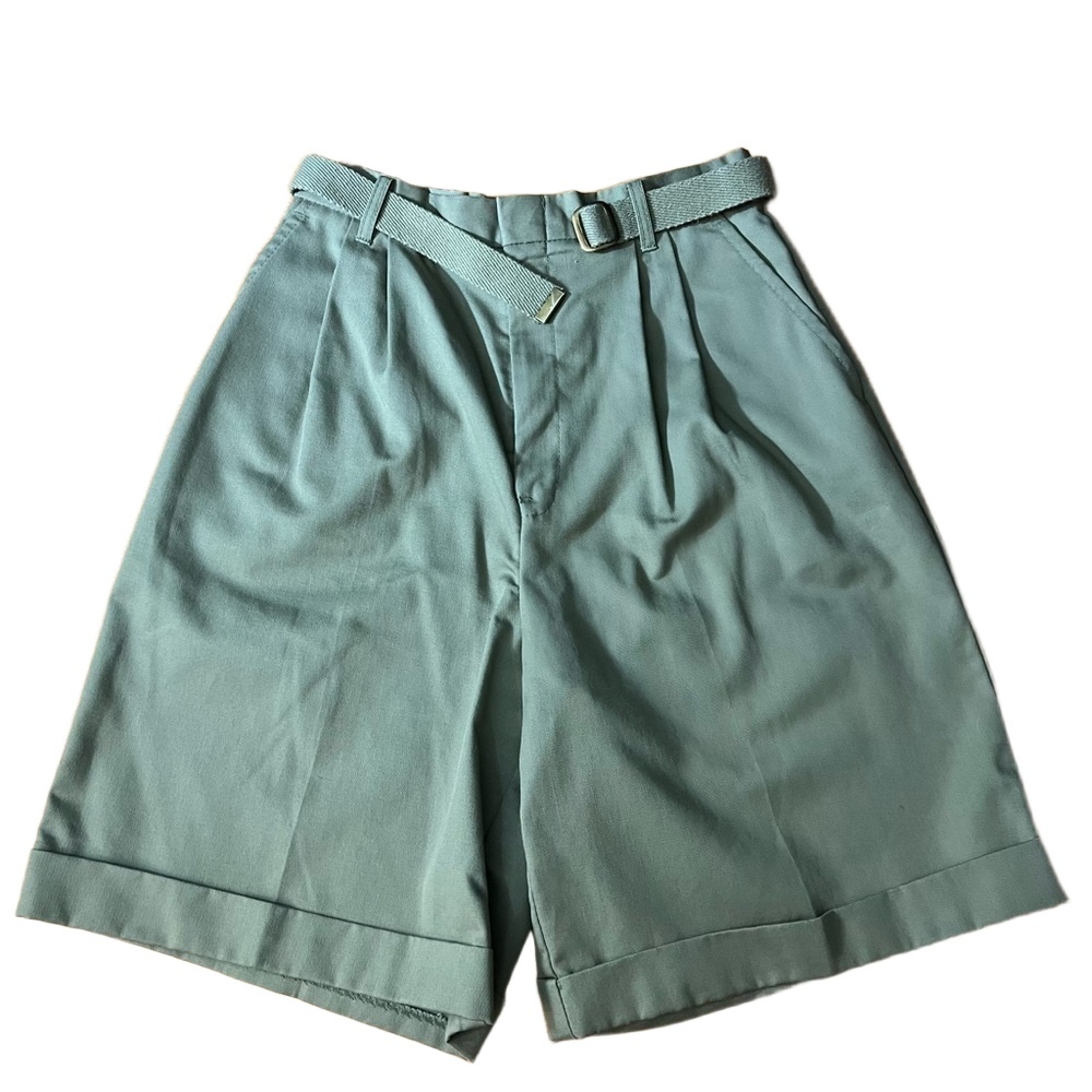 EUC Vintage Chic Shorts Size 10 Average